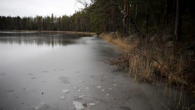 Skukulträsket i Lovisa