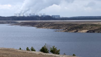 Bakom Cottbuser Ostsee står kolkraftverket Jänschwalde