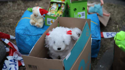 En vit, fluffig leksakshund tittar fram ur en papplåda. Runt omkring finns fler lådor och kassar med leksaker.