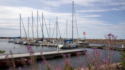 Segelbåtar i gästbåtshamnen på Fagerö.