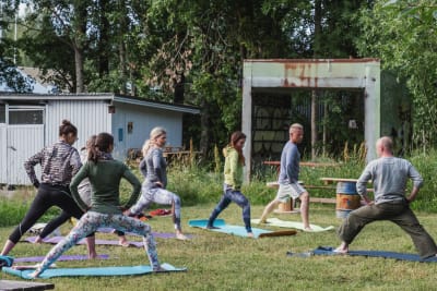 Grupp människor utövar yoga på en gräsmatta.