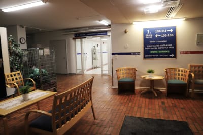En korridor med tegelgolv i ett sjukhus och stolar på rad.