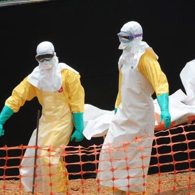 lks20140405 ebola guinea.jpg