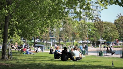 Människor sitter på gräsmattan vid Tokoistranden i Hagnäs i Helsingfors.