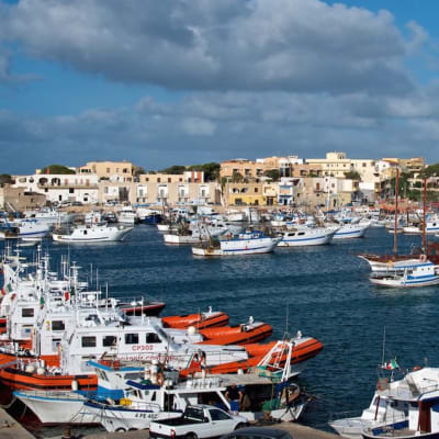 Kalastusaluksia satamassa Lampedusan saarella Sisiliassa