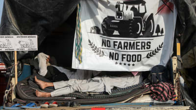 "Inga jordbrukare - ingen mat" - Jordbrukare vilar sig efter att ha deltagit i demonstrationer i Haryana, Indien 14.12.2020 