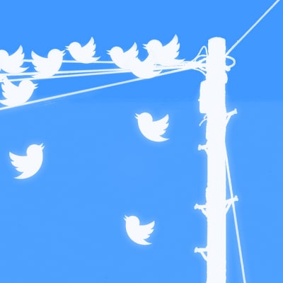 Twitter-lintuja langalla