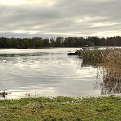 Strand vid Dragsviksfjärden i Ekenäs. 