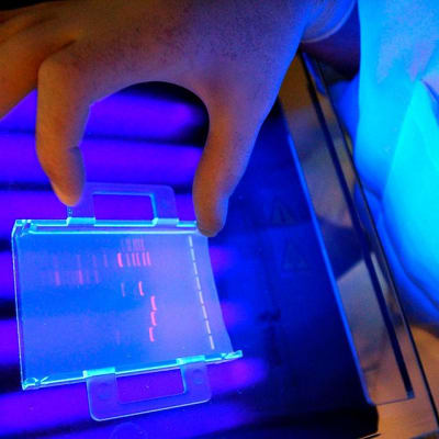 DNA:n tutkimista laboratoriossa.
