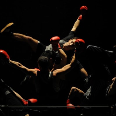 Compagnie Käfigin teos Boxe Boxe