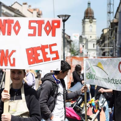 Monsanton vastainen mielenosoitus Morgesin kaupungissa Sveitsissä 22. toukokuuta.