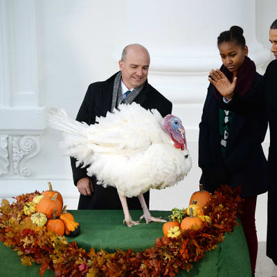Obama tyttärineen kalkkunan vieressä.