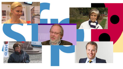 Svenska folkpartiets fullmäktigegrupp i Helsingfors.