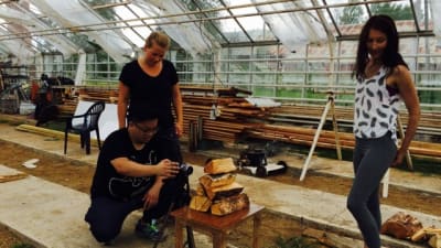 Deltagare i Malakta Dancefilm Lab filmar i ett växthus.