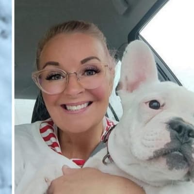 Kahden kuvan kollaasi. Vasemmalla ranskanbulldoggi ira katsoo valjaat yllään kameraan, oikealla Ira-koiran omistaja istuu autossa toinen koira sylissään ja hymyilee leveästi.