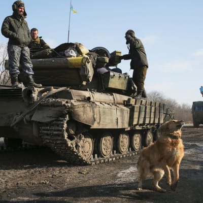 Ukrainan armeijan sotilaita Luhanskin rajanylityspaikan läheisyydessä 19. helmikuuta 2015.