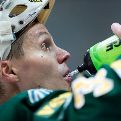 Hannu Toivonen, Ilves-molari