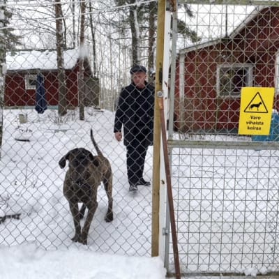 Jan Jalutsi på sin går tillsammans med sin vakthund 
