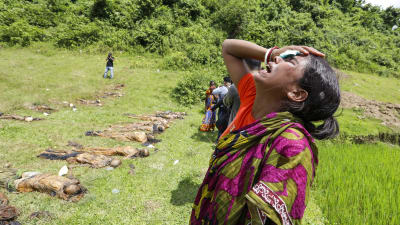 Armén har anklagat rohingyarebeller för att ha utfört massakrer på hinduiska bybor i Rakhine. 