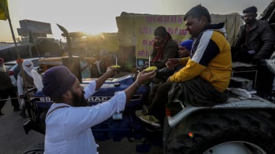 En indisk jordbrukare överräcker mat till demonstrerande jordbrukare i Haryana i närheten av New Delhi, Indien 14.12.2020. Protest mot nya jordbrukslagar som gagnar storföretag 