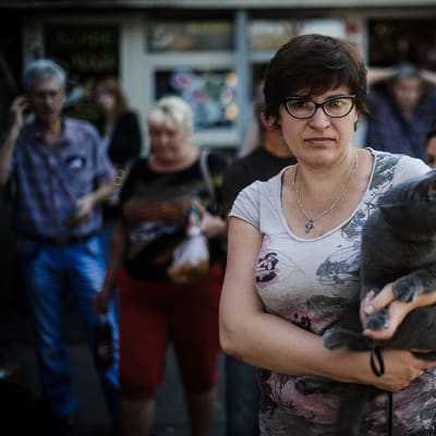 Nainen odotti kissansa kanssa bussikyytiä pois kapinallisten valtaamalta alueelta Donetskissa 20. elokuuta.