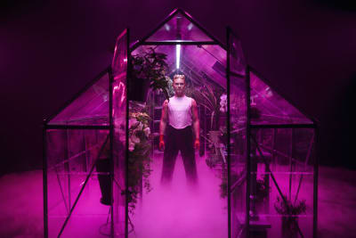 Benjamin Peltonen står i ett växthus som är upplyst med rosa lampor. Benjamin är iklädd en vit topp och svarta byxor.
