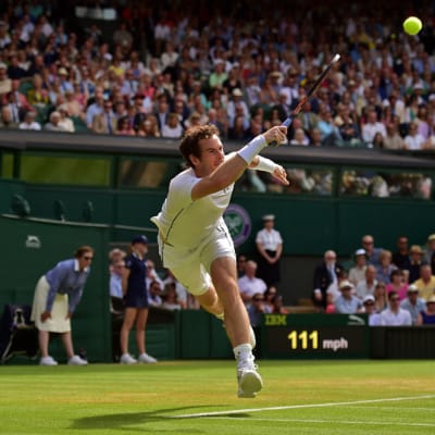 Andy Murray
