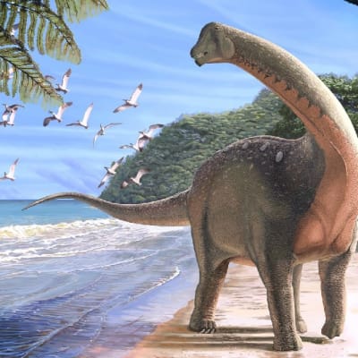 Piirroskuva pitkäkaulaisesta dinosauruksesta hiekkarannalla veden äärellä. Taivaalla parvi lentoliskoja.