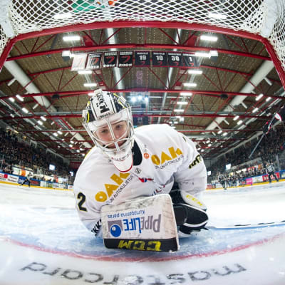 Joel Blomqvist kuvassa