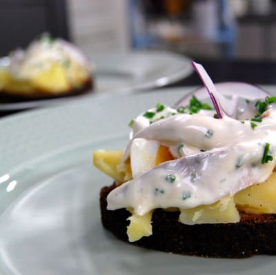 Kavring med gravad mört och nobis dressing