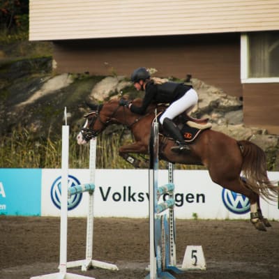 Emma Häggman - Sky III