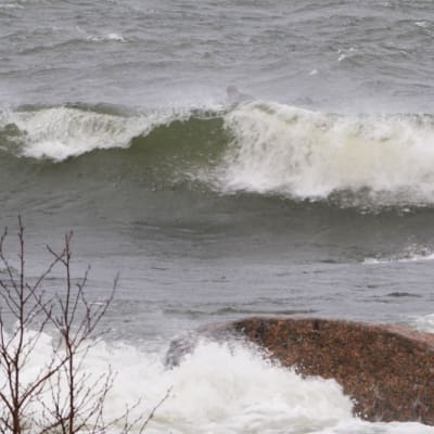 Stora vågor slår mot stora stenar vid stranden. I vågbruset längre ut syns en surfare som ligger på sin surfbräda i våtdräkt.