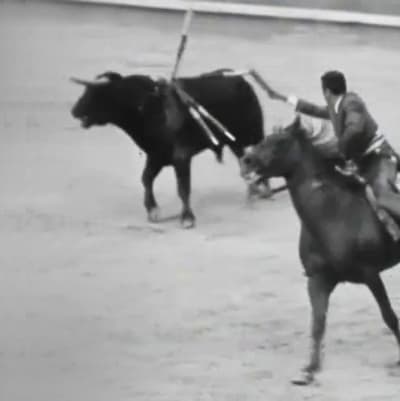 Härkätaistelua Espanjassa 1969. Matadori ratsastaa ja ärsyttää härän suunniltaan.