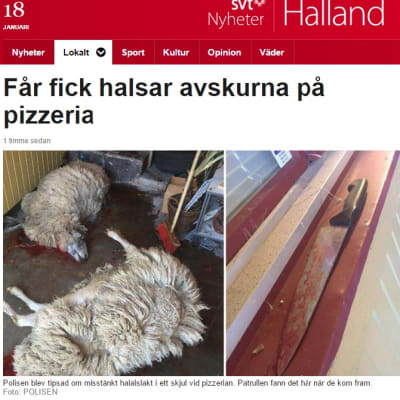 Poliisi löysi lampaat teurastettuina pizzerian vajasta Falkenbergissä kesäkuussa