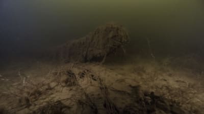 Undervattensbild på vraket Blekinge som hittats utanför Karlskrona i Sverige.