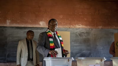 Landets sittande president Emmerson Mnangagwa röstar. 