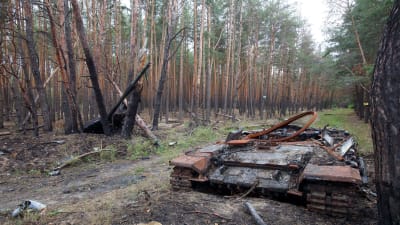 En förstörd stridsvagn på en skogsväg