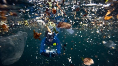 Plastskräp i havet