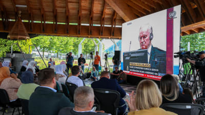 Tiotals män och kvinnor sitter framför en storskärm där man tittar på rättegången i Haag mot krigsförbrytaren Ratko Mladić