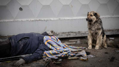 En hund sitter bredvid en man som ligger på marken död. Hans kropp har täckts av en filt.