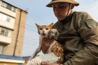 En frivillig räddningsarbetare med en våt katt i famnen.