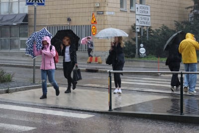Fotgängare i regnoväder. Personerna på bilden försöker skydda sig mot regnet med paraplyer men stormen gör att man bli rvåt ändå. 