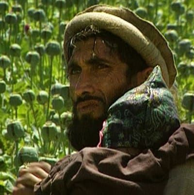 Afgaanimies istuu lapsensa kanssa oopiumiunikkopellolla dokumentissa Heroin Express (1995)