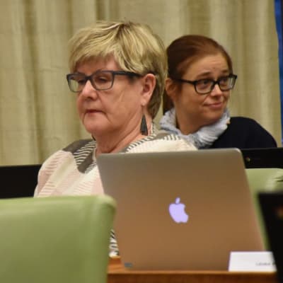 Kaupunginvaltuutettu, Porin vihreiden valtuustoryhmän puheenjohtaja Kaarina Ranne, taustalla valtuutettu Minna Haavisto (vihr.)