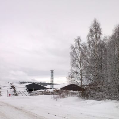 Green Fuel Nordicin tulevan biojalostamon paikka Anaika Woodin vieressä.