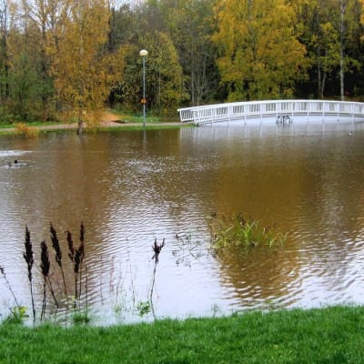 Kaarisilta on jäänyt tulvaveteen puistossa.