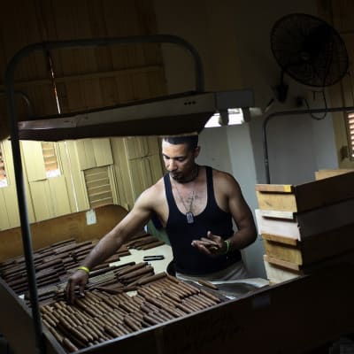 Kuubalaisten sikarien valmistusta Havannassa vuonna 2014