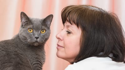 En kvinna tittar på en katt som ser in i kameran. 