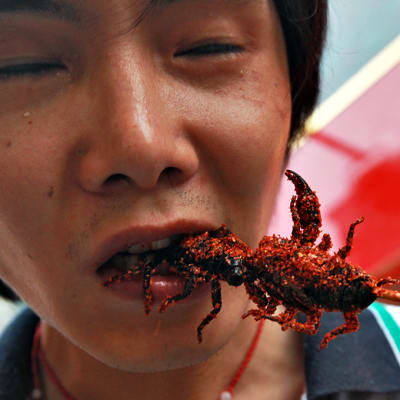 Kiinalainen mies syö grillattua skorpionia.