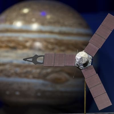 Havainnekuvassa luotain on Jupiterin edustalla. Jupiter on ruskea, mutta sen pinnalla kulkee sinerviä juovia.